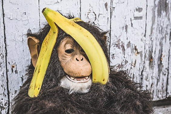 高速下载器的网站ddos