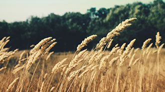 网络ddos监测分析工具