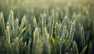 网络ddos监测分析工具